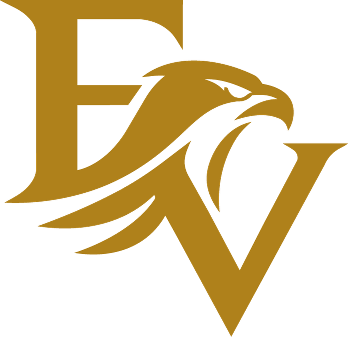 Beeldmerk Eaglevision Security